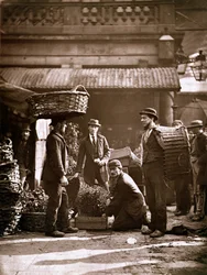 Arbeiter von Covent Garden (Woodburytypie)